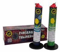 I RAZZI FONTANA TULIPANO CONF.2PZ 423