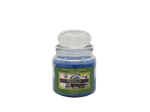 NATURE CANDLE CANDELA GIARA 380GR BLUEBERRY ICE