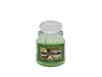 NATURE CANDLE CANDELA GIARA 380GR COCCO MENTA