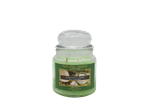 NATURE CANDLE CANDELA GIARA 380GR COCCO MENTA