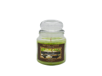 NATURE CANDLE CANDELA GIARA 380GR THE VERDE