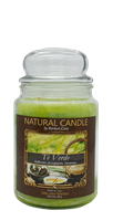 NATURE CANDLE CANDELA GIARA 580GR THE VERDE