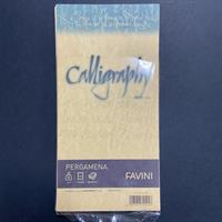 FAVINI BUSTE CALLIGRAPHY PERGAMENA 11X22 25PZ ORO 03