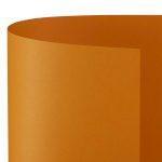 FAVINI CARTONCINO BRISTOL 50X70 25FG ARANCIO