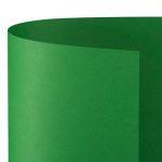 FAVINI CARTONCINO BRISTOL 70X100 10FG VERDE