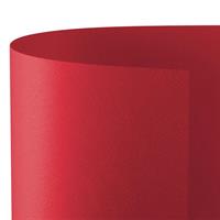 FAVINI PRISMA CARTONCINO BRISTOL 35X50 220GR 20FG 2013 ROSSO