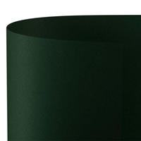 FAVINI PRISMA CARTONCINO BRISTOL 35X50 220GR 20FG 6013 VERDE PINO