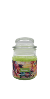 NATURE CANDLE CANDELA GIARA 90GR GERANIO