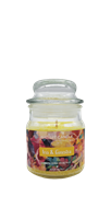 NATURE CANDLE CANDELA GIARA 90GR IRIS E GINESTRA