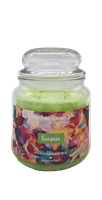 NATURE CANDLE CANDELA GIARA 380GR GERANIO