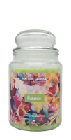 NATURE CANDLE CANDELA GIARA 580GR GERANIO