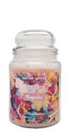 NATURE CANDLE CANDELA GIARA 580GR MAGNOLIA