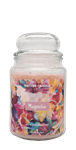 NATURE CANDLE CANDELA GIARA 580GR MAGNOLIA