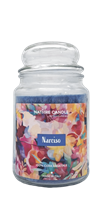 NATURE CANDLE CANDELA GIARA 580GR NARCISO