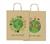 SADOCH SHOPPER FANTASIA 36X46X12 25PZ SAVE THE PLANET SDX36153D