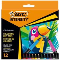 BIC INTENSITY PENNARELLI 12PZ 977891