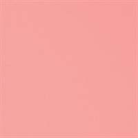 PNP SACCHETTI MAT PEARLY 8X15 50PZ U-805PRR 17 ROSA