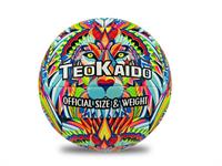 TEOKAIDO PALLONE VOLLEY 52123