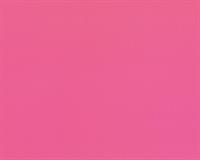 PNP SACCHETTI MAT PEARLY 8X15 50PZ U-805PRR 04 FUXIA